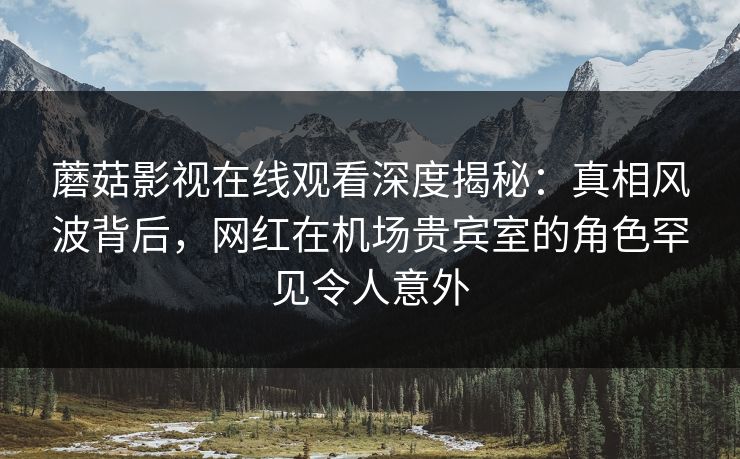 蘑菇影视在线观看深度揭秘：真相风波背后，网红在机场贵宾室的角色罕见令人意外